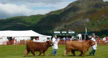 Perth Show