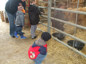 Little Teddies preschool group visit