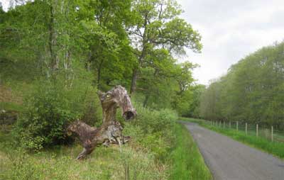 The Dragon garding the fields