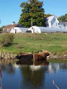 Pond View Farm